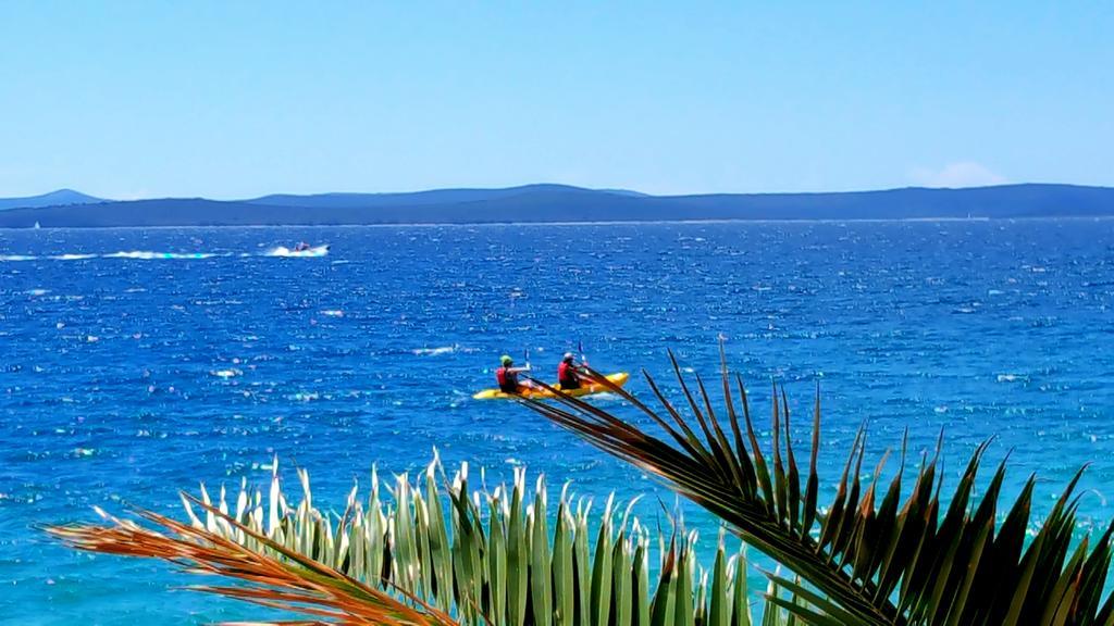 Villa Nela Petrcane Εξωτερικό φωτογραφία